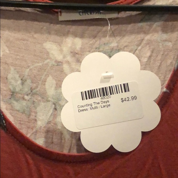 Hope’s Counting the Days Dress - Picture 4 of 4